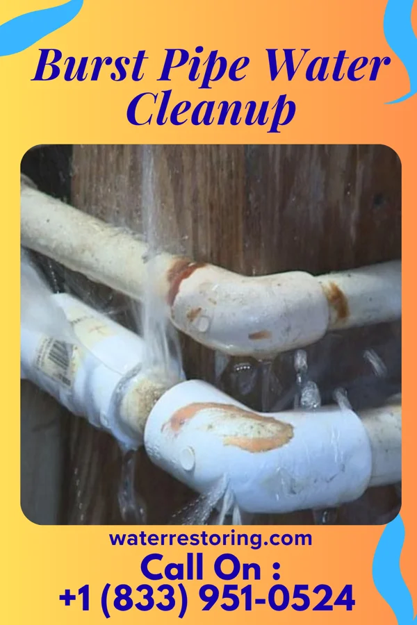 Burst Pipe Water Cleanup in Willowbrook, KS