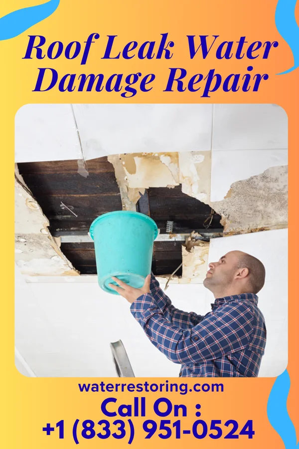 Roof Leak Water Damage Repair in Willowbrook, KS