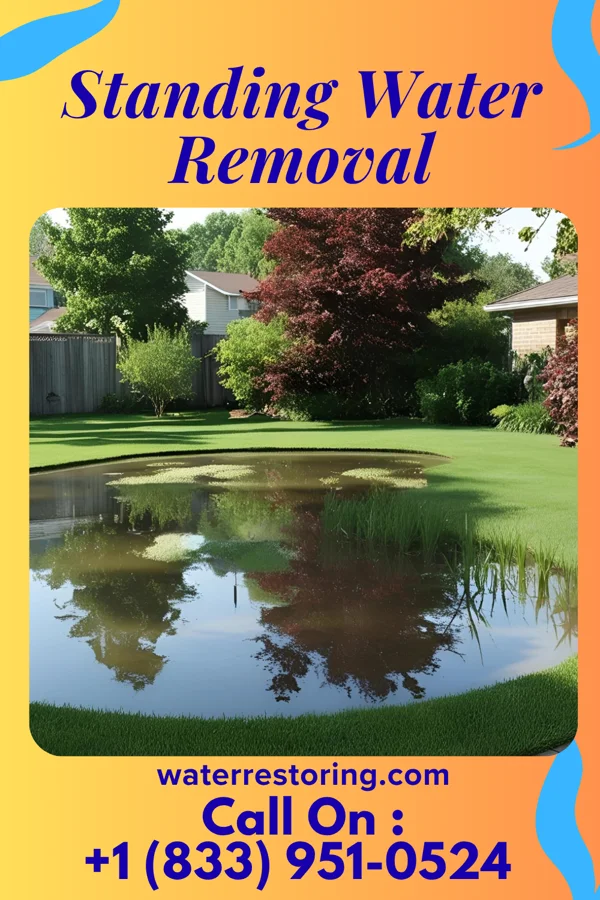 Standing Water Removal in Willowbrook, KS